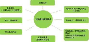 復振科技 從醫藥跨界環保的“野蠻人”，如何在環境科技領域開疆拓土？